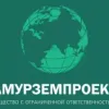 ООО Амурземпроект