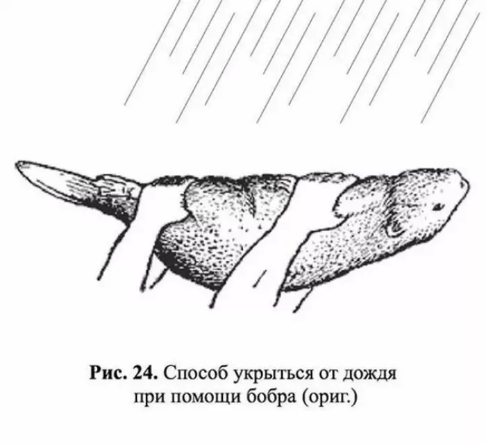 Фит Сервис на Жуковского