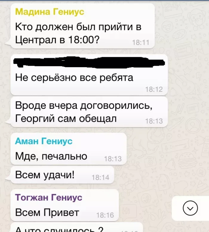Swiss American Academy Швейцарская Американская Академия