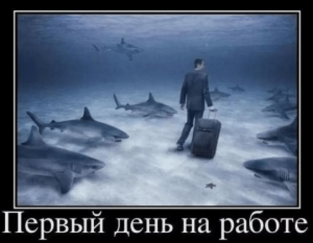 Первый день на работе